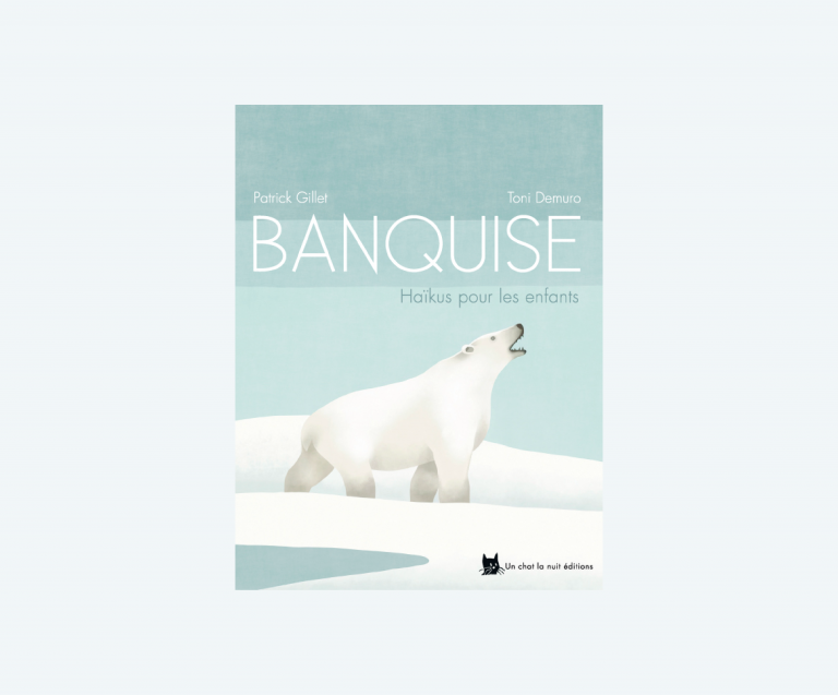 couverture livre Banquise patrick gillet