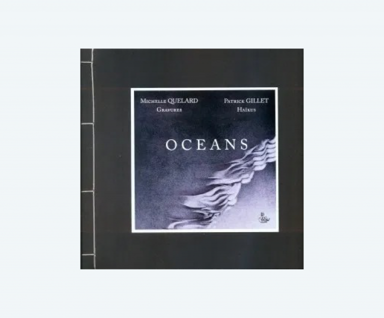 couverture livre ocean patrick Gillet